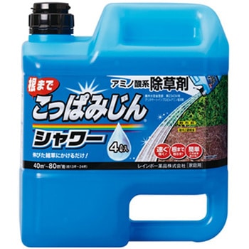 こっぱみじんシャワー レインボー薬品
