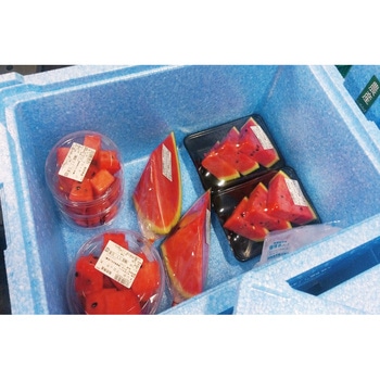 EPボックス 本体 三甲(サンコー)