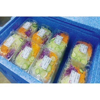 EPボックス 本体 三甲(サンコー)
