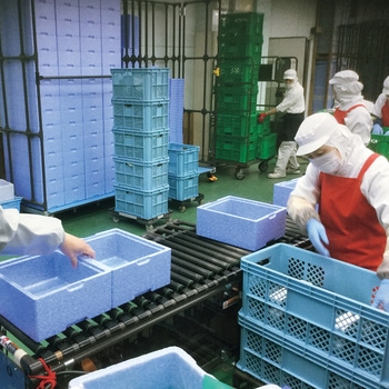 EPボックス サンコー(三甲)