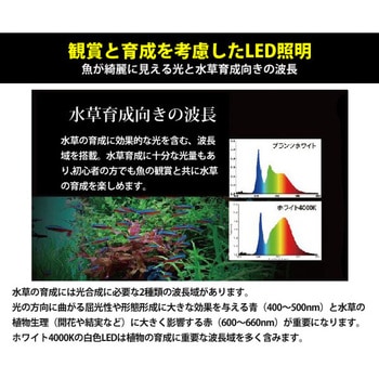 10 水槽用 照明ライト マルチカラーled 1個 ゼンスイ 通販サイトmonotaro