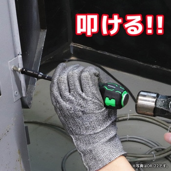 貫通エクステンション エンジニア