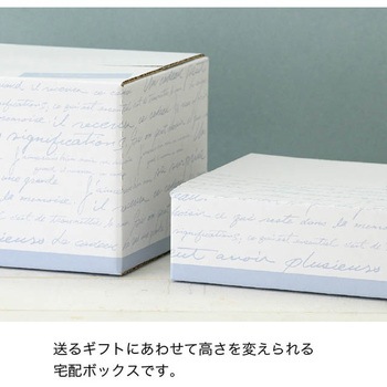 NEWフレンチカートンBOX HEADS(ヘッズ)
