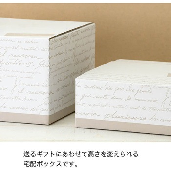 NEWフレンチカートンBOX HEADS(ヘッズ)