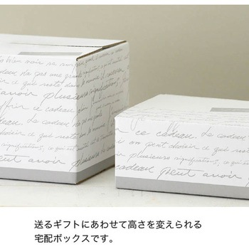 NEWフレンチカートンBOX HEADS(ヘッズ)
