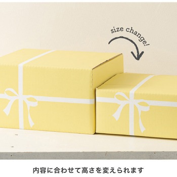 クレール撥水宅配ギフトBOX HEADS(ヘッズ)