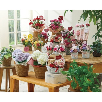 マザーズデーウッドピック 東京堂