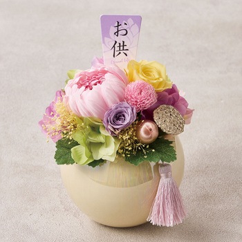 帆華(ほのか) 東京堂