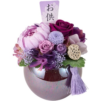 帆華(ほのか) 東京堂