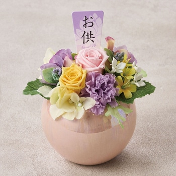 彩花(さいか) - 東京堂