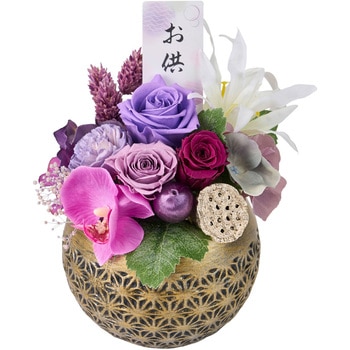 麻乃葉(あさのは) 東京堂