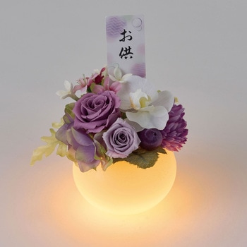 樹と花 ○△＿ 真夏の果実。 The Fruit of Midsummer. ・ Photo:庭梅