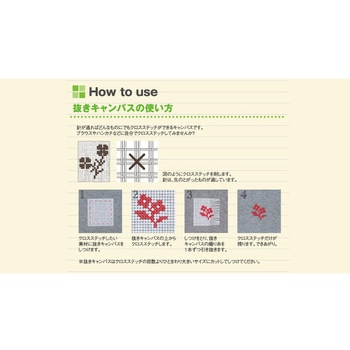 抜きキャンパス ルシアン
