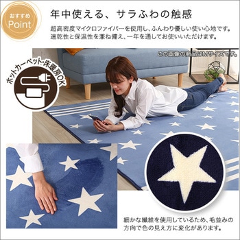 マイクロファイバー・デザインラグマットSSサイズ(100×140cm)洗えるラグマット 【WASHFA】 ホームテイスト