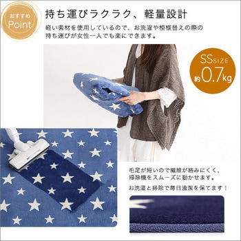 マイクロファイバー・デザインラグマットSSサイズ(100×140cm)洗えるラグマット 【WASHFA】 ホームテイスト