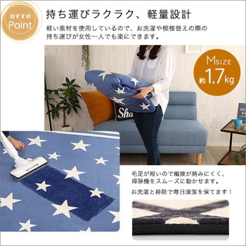 マイクロファイバー・デザインラグマットMサイズ(185×185cm)洗えるラグマット 【WASHFA】 ホームテイスト