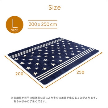 マイクロファイバー・デザインラグマットLサイズ(200×250cm)洗えるラグマット 【WASHFA】 ホームテイスト