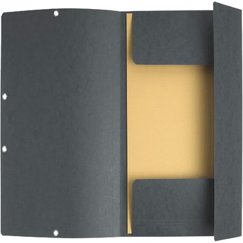 EXACOMPTA ゴム留めファイルA4 エグザコンタ