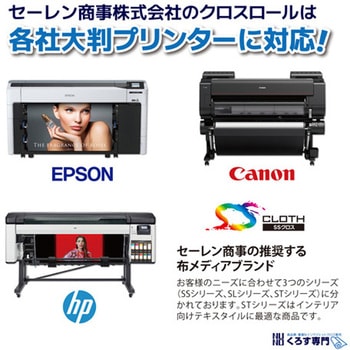 オーガンジー セーレン