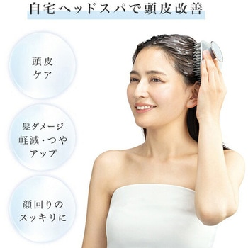 Soin Brush (ソワンブラシ) メイダイ