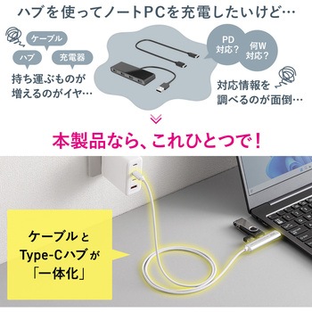 USBハブ USB TypeC サンワダイレクト