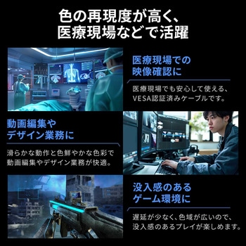 DisplayPortケーブル Ver2.1 DP80 サンワダイレクト