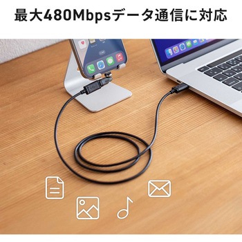 USB TypeCアダプタ USB2.0 変換用 サンワダイレクト