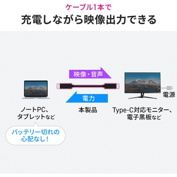 USB TypeCケーブル USB 5Gbps PD75W対応 サンワダイレクト