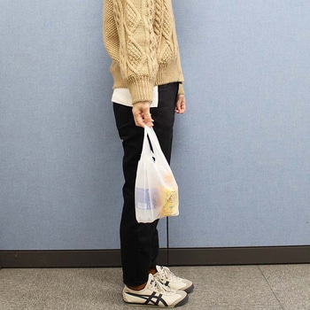 とって付お買得ゴミ分別用ポリ袋 ハウスホールドジャパン