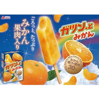 [冷凍]ガツンと みかん - 赤城乳業