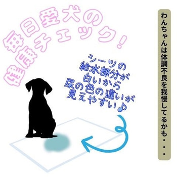 速乾吸収厚型ペットシーツ ペットアイ