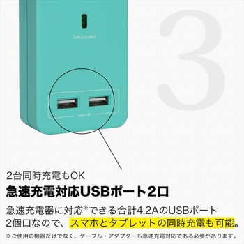 SATICOLORAC4個口USB Fargo