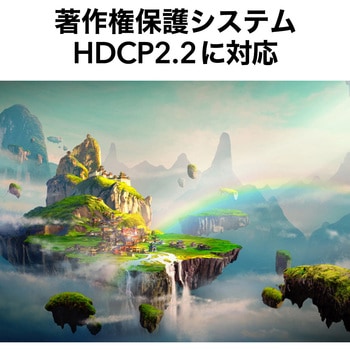 HDMI2.0 アクティブケーブル サンワダイレクト
