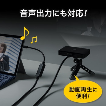 変換ケーブル サンワダイレクト
