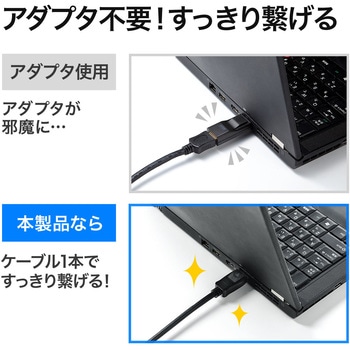 500-KC021-2 変換ケーブル サンワダイレクト DisplayPortオス