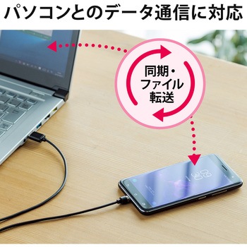 USB TypeCケーブル - サンワダイレクト