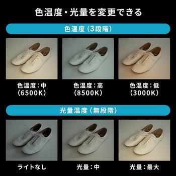 LEDライト サンワダイレクト