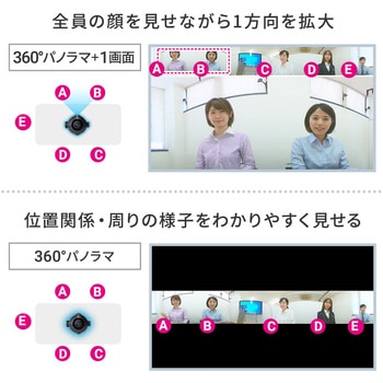 WEBカメラ サンワダイレクト