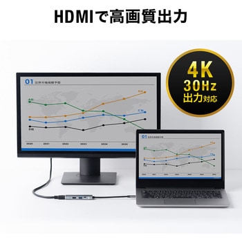 USBハブ サンワダイレクト