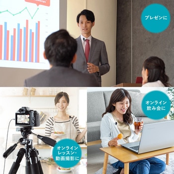 マイクロホン サンワダイレクト