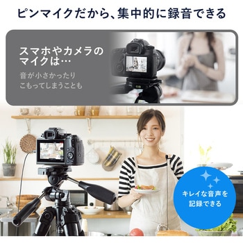 マイクロホン サンワダイレクト