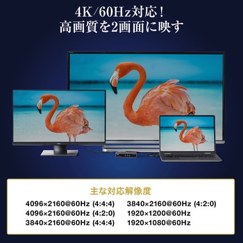 HDMI分配器 サンワダイレクト