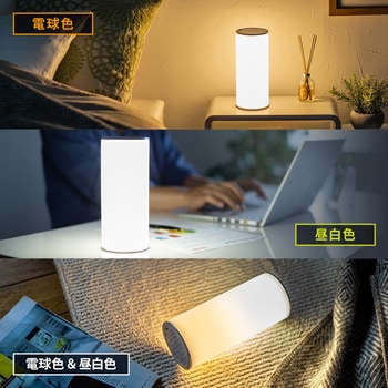 LEDライト サンワダイレクト