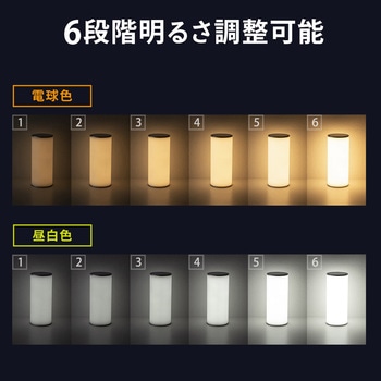 LEDライト サンワダイレクト