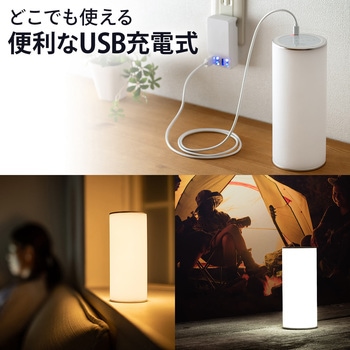 LEDライト サンワダイレクト