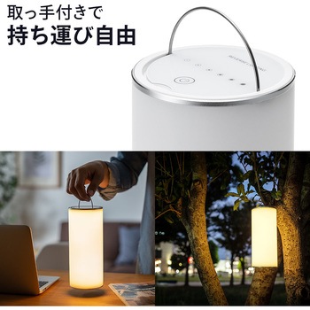LEDライト サンワダイレクト