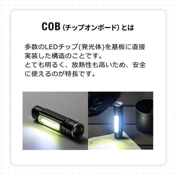 800-LED028 LEDライト サンワダイレクト 1個 800-LED028