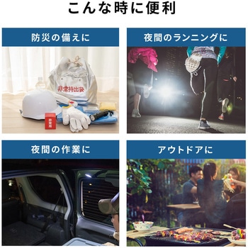 LEDライト サンワダイレクト