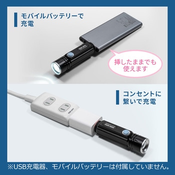 LEDライト サンワダイレクト