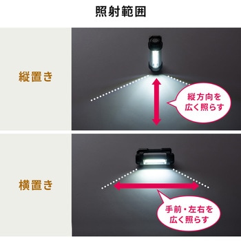 LEDライト サンワダイレクト